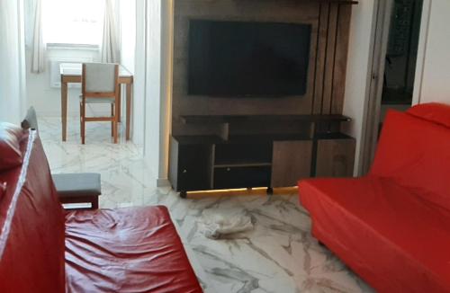 un soggiorno con divano e TV a schermo piatto di Apartamento encantador com vaga de garagem a Rio de Janeiro