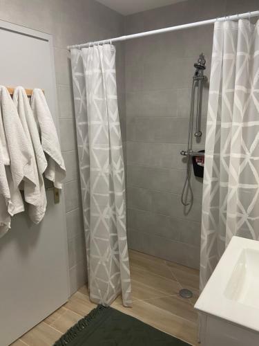 une salle de bain avec une douche avec un rideau de douche dans l'établissement Studio entre lacs et montagnes, à Rumilly