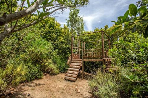 a set of wooden stairs in the middle of a forest at Exquisite, Artsy ArtepHouse in Cape Town