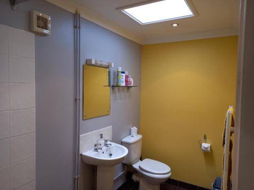 a bathroom with a toilet and a sink at Donkey & Buskins in Colchester