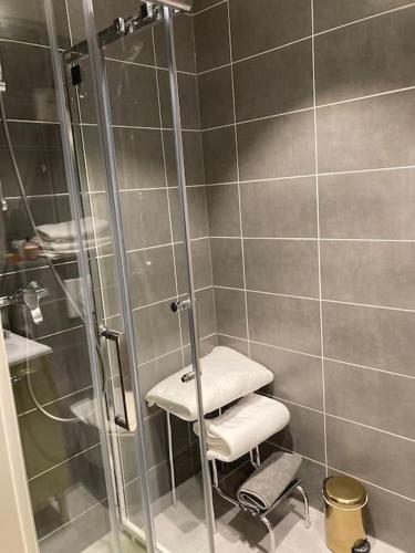 une salle de bain avec une douche avec une porte vitrée dans l'établissement « Le Val d AuRS »Calme et élégance, à Strasbourg