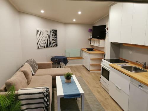 ein Wohnzimmer mit einem Sofa und einem Tisch in der Küche in der Unterkunft Gjestehus i Sogndal in Sogndal