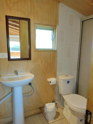 a bathroom with a sink and a toilet and a mirror at Cabañas Roka Caburgua in Pucón