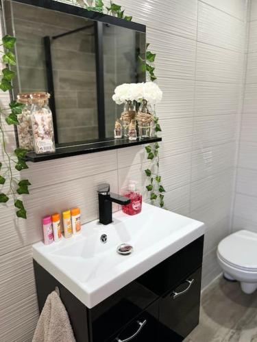 une salle de bain avec un lavabo blanc et des toilettes dans l'établissement Colmar,appart chaleureux 2 pas centre avec jardin, à Colmar