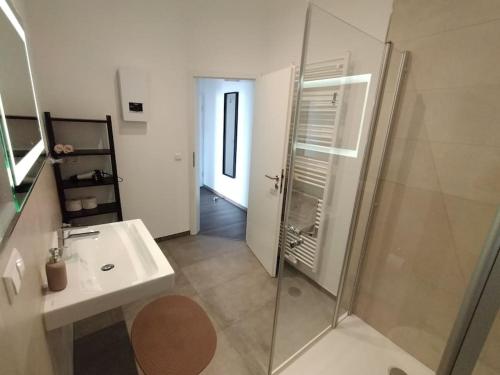 y baño con ducha acristalada y lavamanos. en Apartment Voria, en Hamm