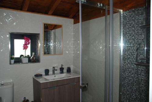 a bathroom with a sink and a shower at Superb Bruzende Village in Baião