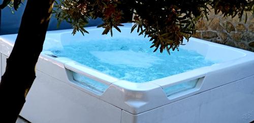 a jacuzzi tub with blue water and a tree at Dream House & Spa Bandol - Céline et Olivier in Bandol