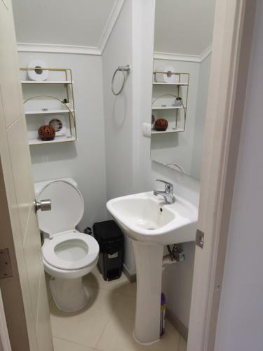塔爾卡的住宿－Casa en Sector Oriente de Talca，白色的浴室设有卫生间和水槽。