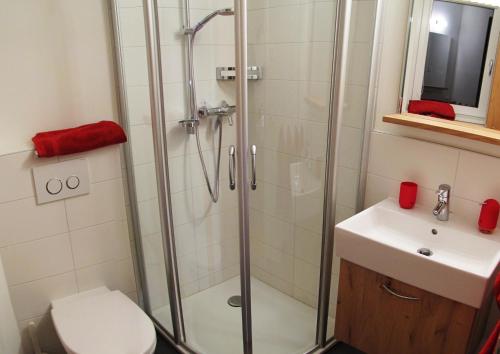 a bathroom with a shower and a toilet and a sink at Dolomit in Saas-Fee