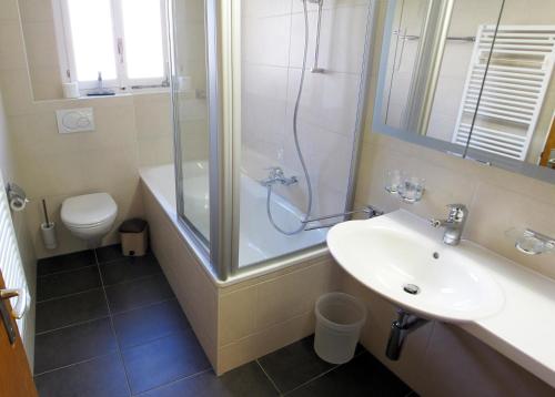 a bathroom with a shower and a sink and a toilet at Chalet les Mayens in Saas-Fee