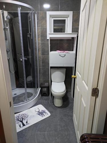 a small bathroom with a toilet and a shower at atenea in Punta Arenas