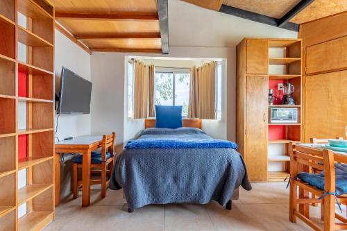 a bedroom with a bed and a desk and a tv at Lofts San Ángel in Mexico City