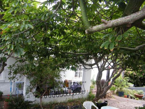Κήπος έξω από το Valley Guest House