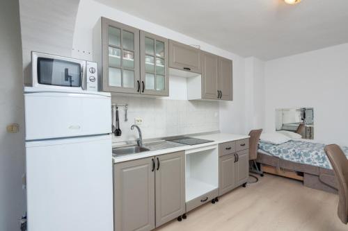 Apartments with WiFi Rovinj - 2243