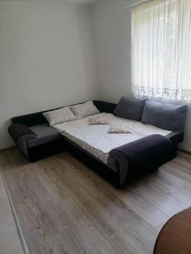 a black couch in a room with a bed at Apartmani Vesna in Novi Sad