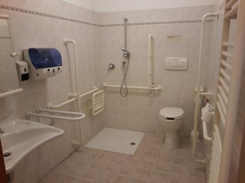 a bathroom with a shower and a toilet and a sink at Albergo Sonia in Florence