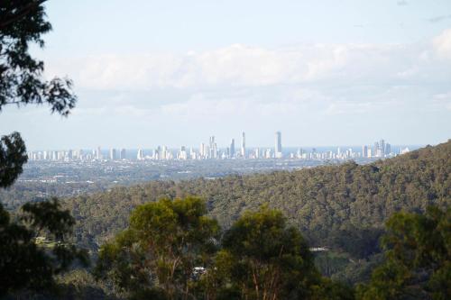 a view of a city from a hill with trees at Gold Coast Tree Houses in Neranwood