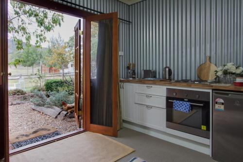 a kitchen with an open door with a dog in the yard at Riverlea Cottage in Apple Tree Flat
