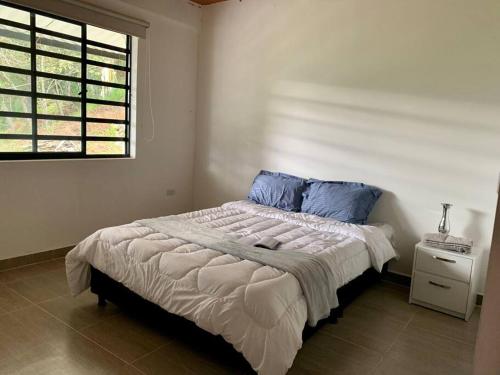 a bedroom with a bed with blue pillows and a window at Lee TODO lo que incluye para Familia (Guateque) in Guateque
