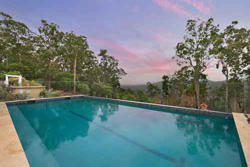a swimming pool in the middle of a yard with trees at Gold Coast Tree Houses in Neranwood