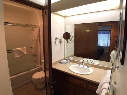a bathroom with a sink and a toilet and a mirror at 102 Standard Condo in Mammoth Lakes