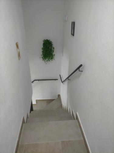 a stairway with a potted plant on the wall at Casa Rural Ardwina II in Alía