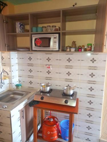 Kuhinja ili čajna kuhinja u objektu Soft home studio