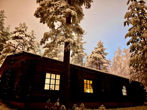 a cabin in the snow with a tree at Arctic Lodges Lapland Ski In Family Studio, Wi-Fi, National Park - Lapland Villas in Pyhätunturi