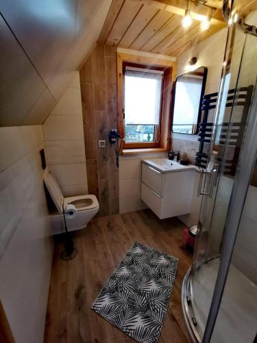 a bathroom with a shower and a toilet and a sink at Zymbiańsko Chałupa 1 z balią na wyłączność in Ząb