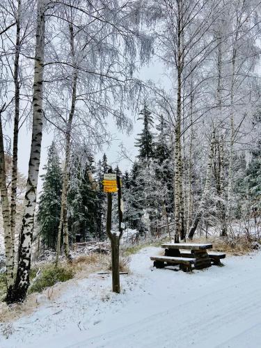 a snow covered park with two picnic tables and trees at Útulný apartmán v srdci Krkonoš se saunou in Jablonec nad Jizerou