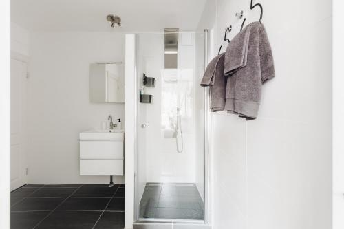 a bathroom with a shower and a sink and a mirror at Luxurious Private Studio Amsterdam Zuid in Amsterdam