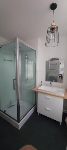 La salle de bains est pourvue d'une douche en verre et d'un lavabo. dans l'établissement Entre les places, avec Parking Gratuit, à Arras