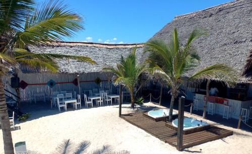 a resort with chairs and palm trees on the beach at Luwa Beach&Suits in Watamu