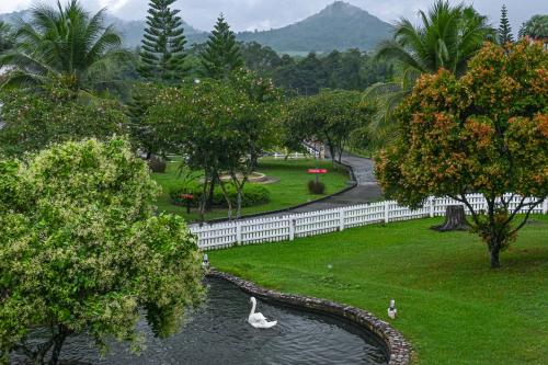 un parque con cisnes nadando en un estanque en Swiss Valley Hip Resort en Suan Phung