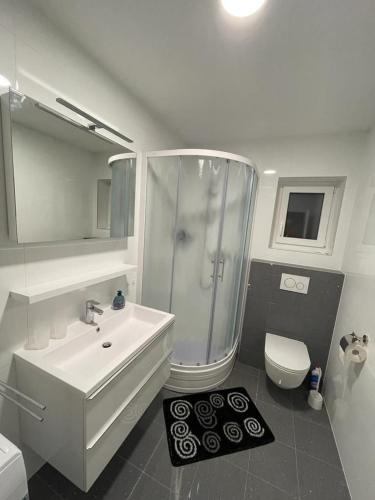 a bathroom with a shower and a sink and a toilet at Apartmani Daisy in Velika Gorica