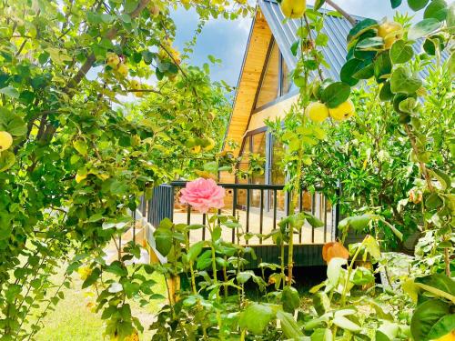 Garden Bungalow في أنطاليا: حديقة فيها ورد وردي امام المنزل