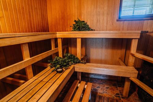an empty sauna with wooden benches and potted plants at Brīvdienu māja ''Rātes'' Valmiermuiža in Valmiermuiža