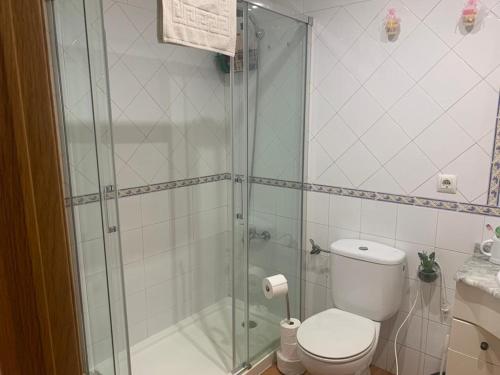 a bathroom with a toilet and a glass shower at Apartamento Talavera in Talavera de la Reina