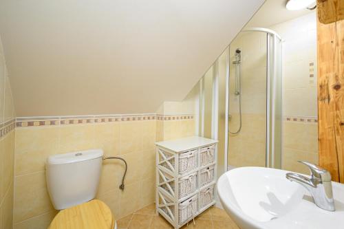 コジェノフにあるHorská chalupa Horní Polubnýのバスルーム(トイレ、洗面台、シャワー付)