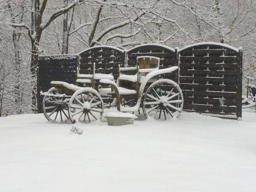a horse drawn carriage covered in snow at Guest house Western-city in Chaudfontaine