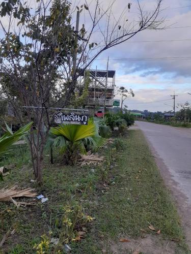 Zahrada ubytování บ้านเพลินภู