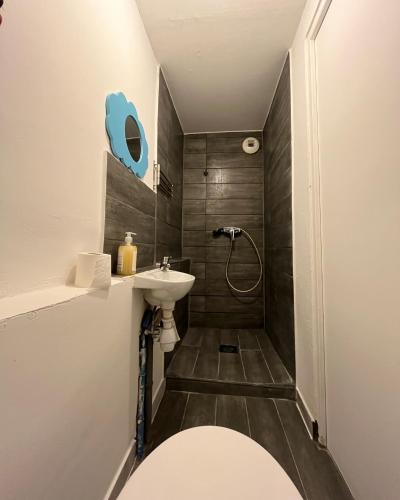 a bathroom with a toilet and a sink at Grand studio pour 1 ou 2 personnes in Schiltigheim