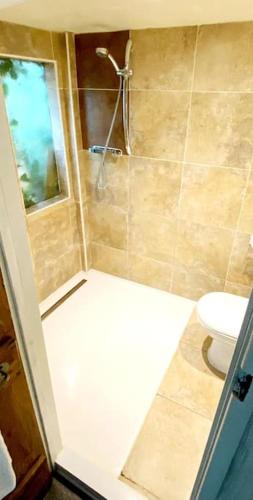 uma casa de banho com um chuveiro e um WC. em The Birch Cabin with hot tub em Bristol