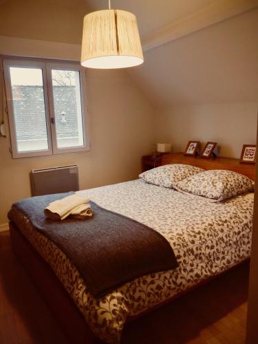 une chambre avec un lit et une grande fenêtre dans l'établissement Chambre et salon sur la Loire à vélo, à Les Ponts-de-Cé