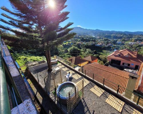 a person standing on the balcony of a house with a tree at Sleep and Go in Santana in Nature B&B in Santana