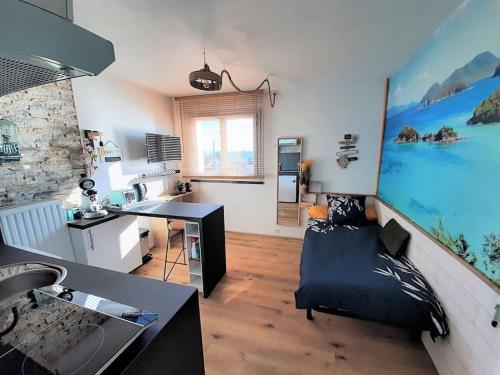 Songe Tropical-InvIRI. Studio CHU. Parking Aisé.