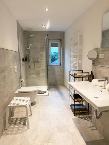 a bathroom with a shower and a toilet and a sink at Sonnenlay Lounge Ferienhaus und Studio Balkon Garten E-Ladestation in Brauneberg