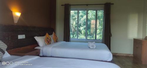 a cat sitting on top of two beds in a room at Hotel hornbill in Sauraha