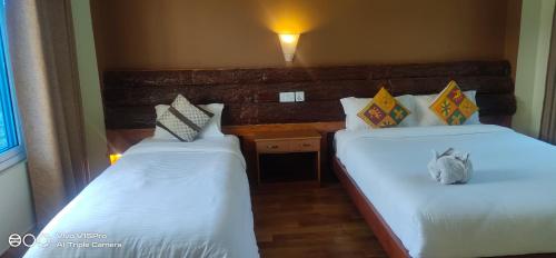 two beds in a hotel room with a cat sitting between them at Hotel hornbill in Sauraha