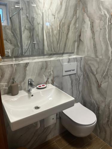 a bathroom with a sink and a toilet and a mirror at Vila A&B in Bucharest